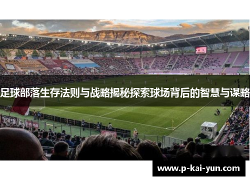 足球部落生存法则与战略揭秘探索球场背后的智慧与谋略 足球部落生存法则与战略揭秘探索球场背后的智慧与谋略