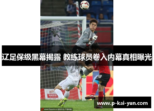 辽足保级黑幕揭露 教练球员卷入内幕真相曝光 辽足保级黑幕揭露 教练球员卷入内幕真相曝光