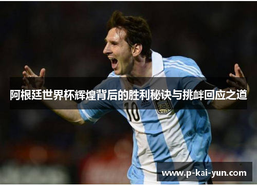 阿根廷世界杯辉煌背后的胜利秘诀与挑衅回应之道 阿根廷世界杯辉煌背后的胜利秘诀与挑衅回应之道