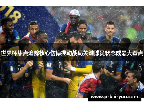 世界杯焦点追踪核心伤停搅动战局关键球员状态成最大看点 世界杯焦点追踪核心伤停搅动战局关键球员状态成最大看点