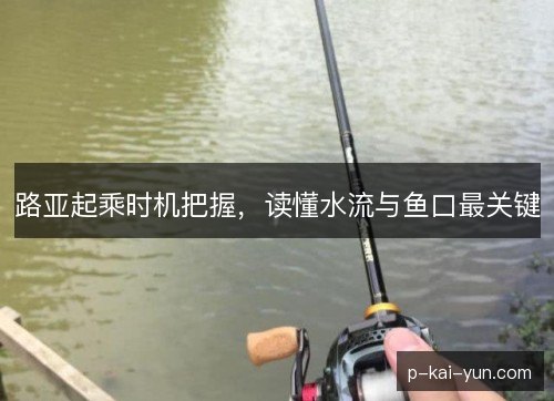 路亚起乘时机把握，读懂水流与鱼口最关键
